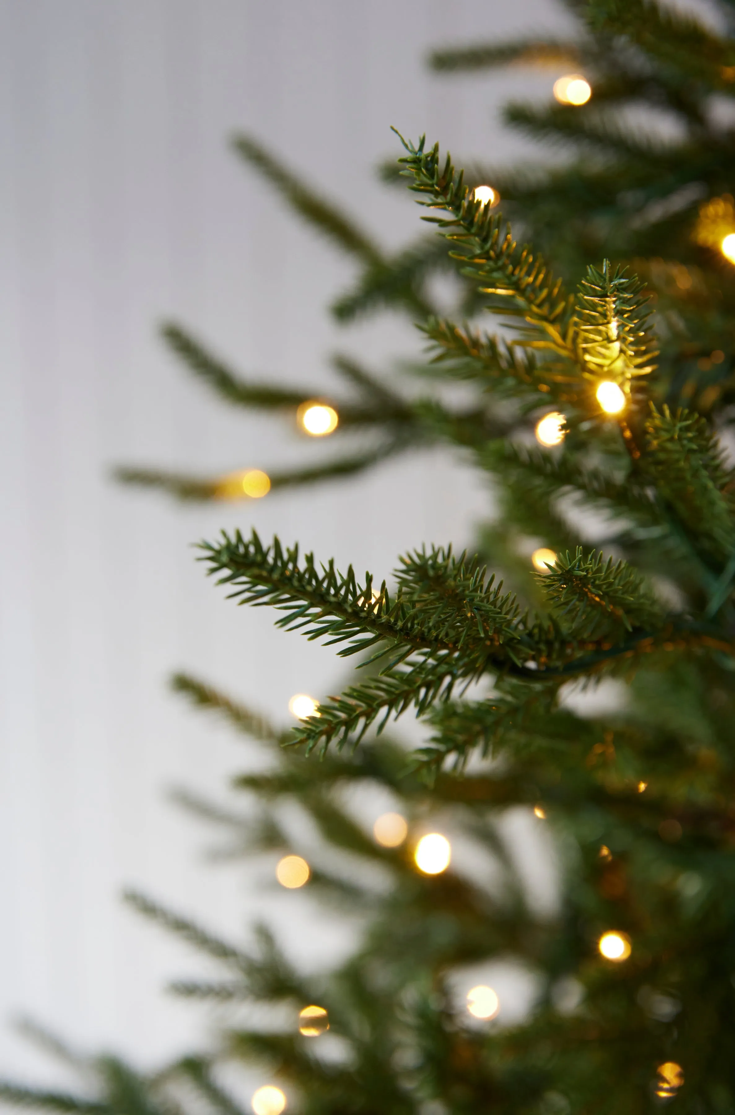 7.5 Ft Balsam Fir Green Tree - 570 Led