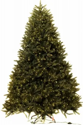 8' Ultra-Lit LED 3MM Chester Fir Dual Lit