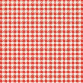 Christmas in the Cabin - Checkered Charm - AGF Studio - CCA258913 - Half Yard