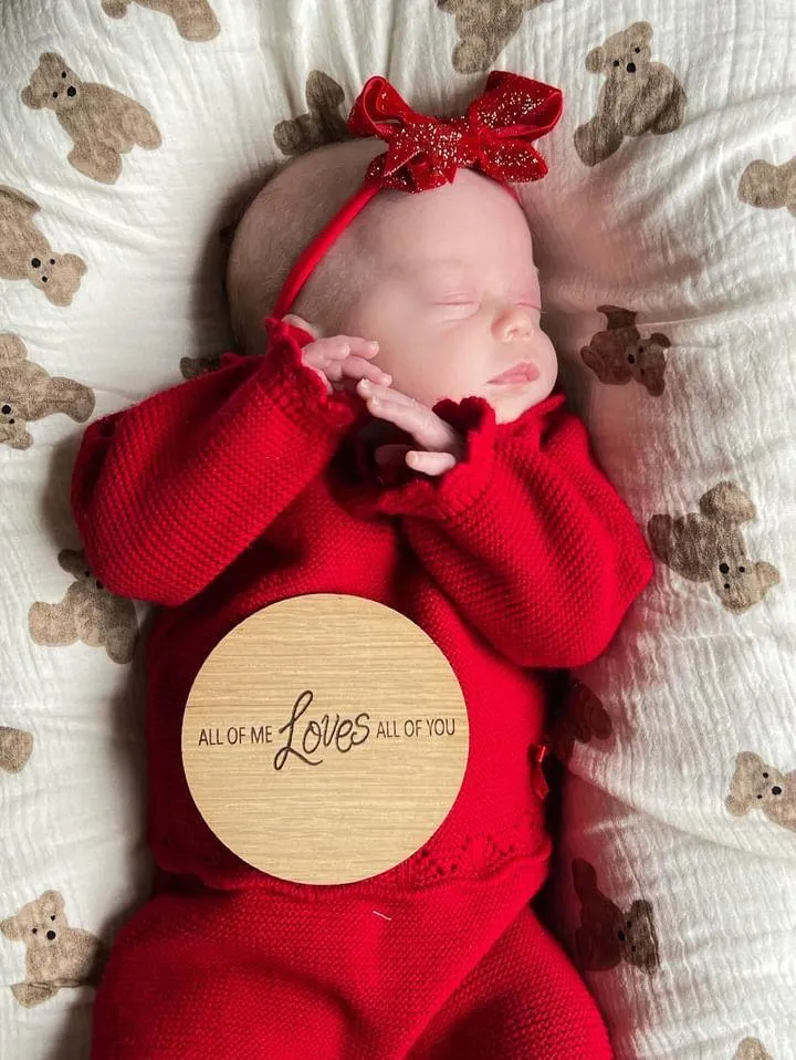Christmas Red Velvet Sparkle 3 Inch Dainty Bow On Headband