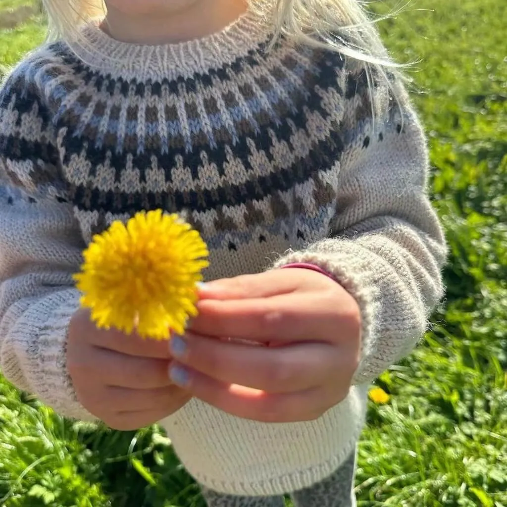 Kinderpullover Celeste Strickanleitung - PetiteKnit (Heft)