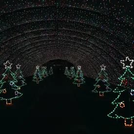 Sunday, December 1st